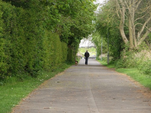Photo 6x4 footpath - photo,