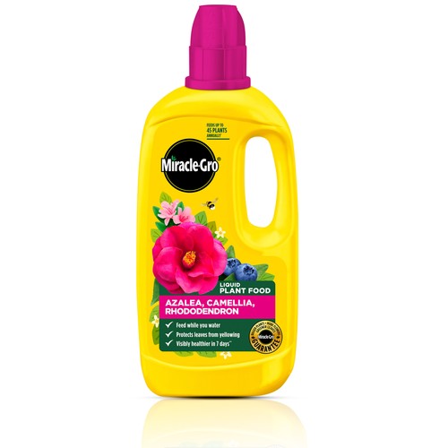 Miracle gro azalea camellia - miracle-gro, azalea,