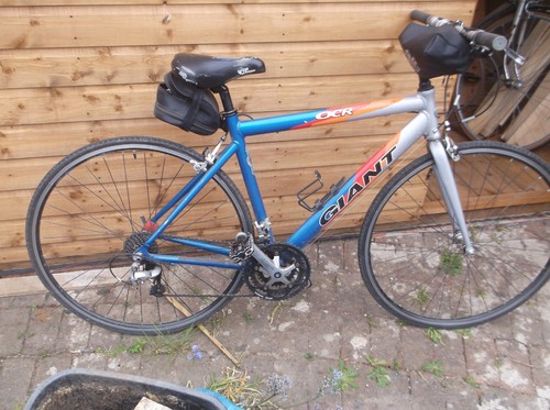 Giant gents push bike - gents,