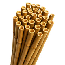 Bamboo canes for plant support - for,
