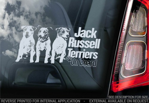 Jack russel terriers car - russel,