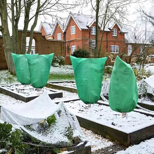 10pack frost protection - frost,