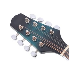 Mandolin Instrument Kit