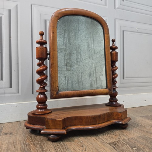 Antique vanity toilet mirror - toilet,