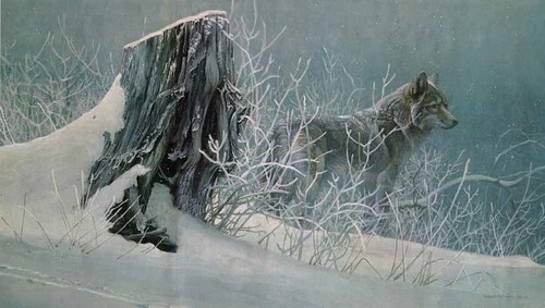 Robert bateman winter - robert, trackers