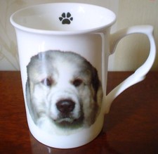 Lovely pyrenean mountain dog - lovely,