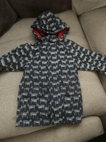 Minoti zebra coat years - zebra,