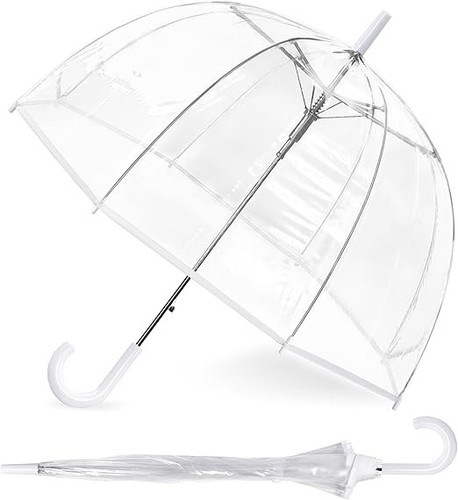 Clear dome umbrella - clear,