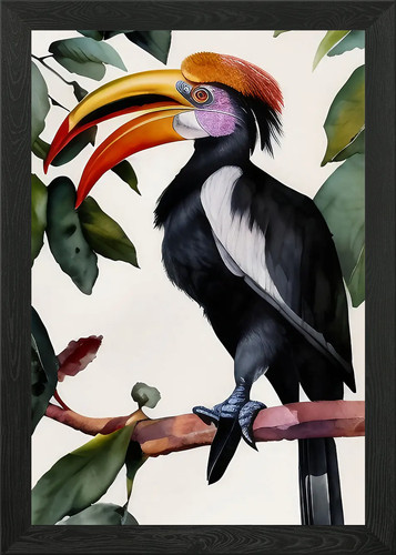 Beautiful hornbill bird - hornbill,