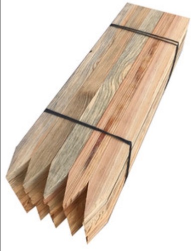 Pack 19mm x 36mm - ,