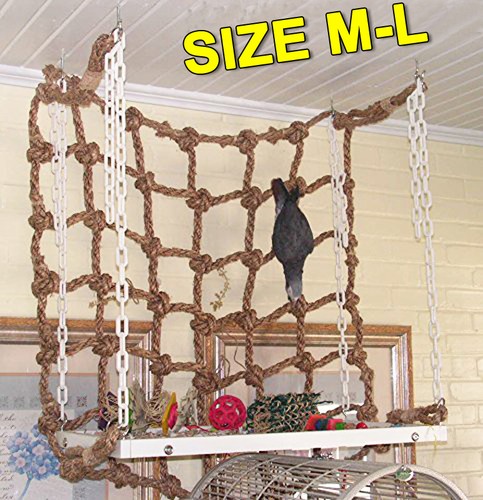 Birds climbing training rope - birds,