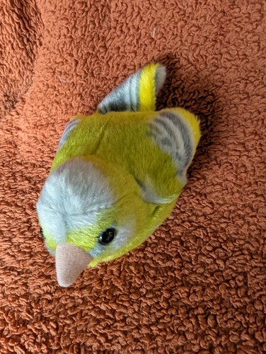Wild republic green finch bird - wild,