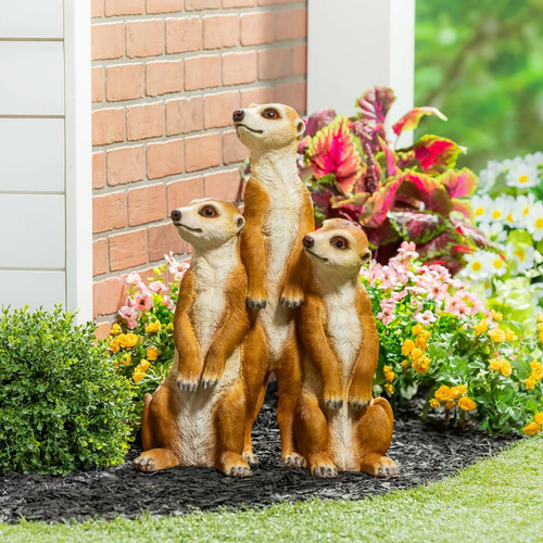 Evergreen meerkat garden - evergreen,