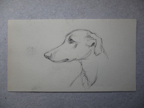 Original dog pencil drawing - original,