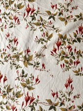 Colefax and Fowler Fushia