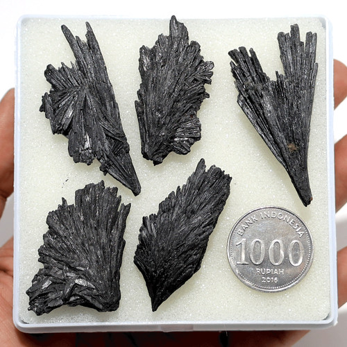 Black kyanite feathers - 5,