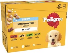 Pedigree Junior Wet Dog Food for Young Dogs and Puppies, 12 Pouches (12 x 100 g)