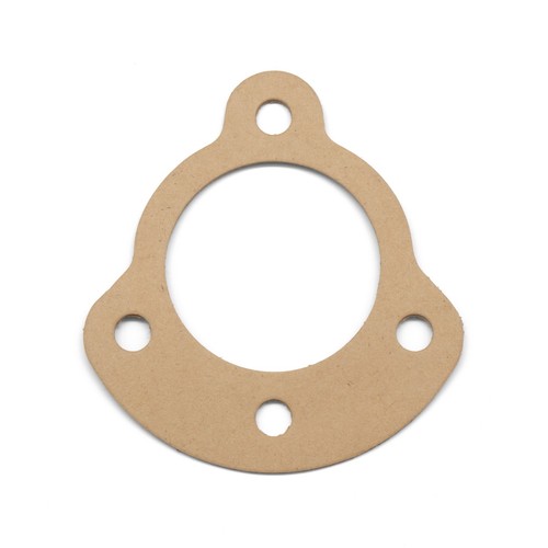 Lps small scallop base - scallop, m