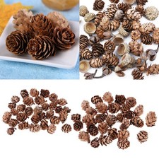 Mini Christmas Pine Cones Tiny Pinecones for Crafts Bulk Pine Cones Ornaments UK