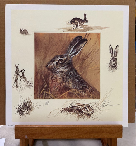 Mick cawston hare - -,