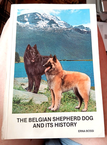 The belgian shepherd - dog, and