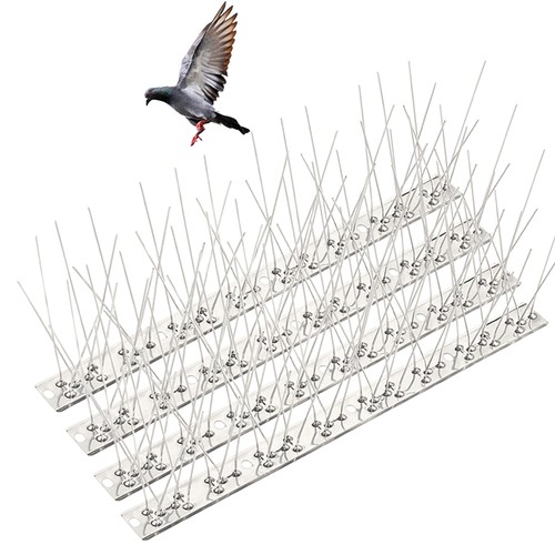 Stainless steel pigeon spikes - steel,