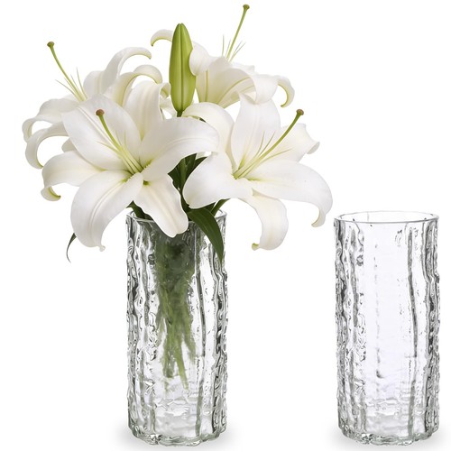 Pack glass vase 10inch - vase,