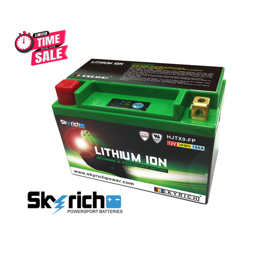 Skyrich lithium ion battery - skyrich,