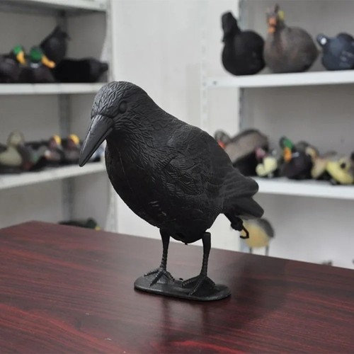 Life size crow decoy bird - size,