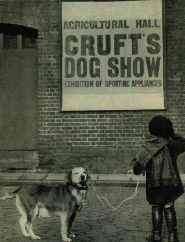 Crufts dog show fridge magnet - dog,