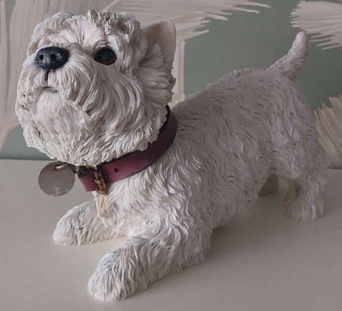 Large west highland terrier - highland,