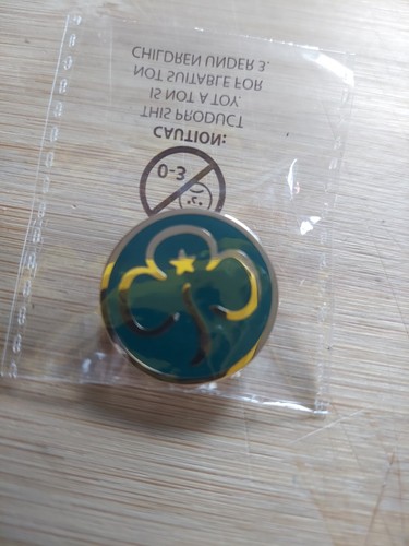 Girlguiding promise metal - promise,