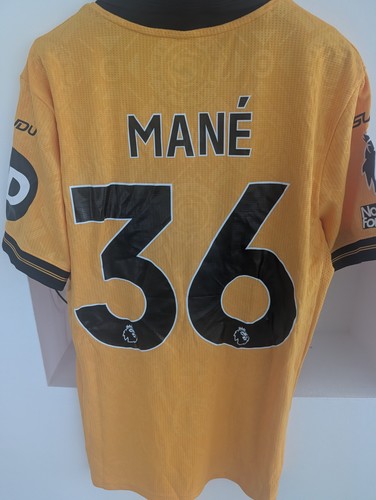Mane match worn - mane,