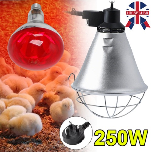 250w infrared heat - 250w,