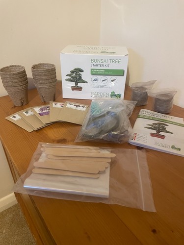 Bonsai tree starter - bonsai, grow