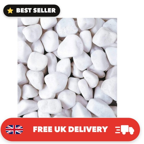 Lrs poly bag - lrs, white