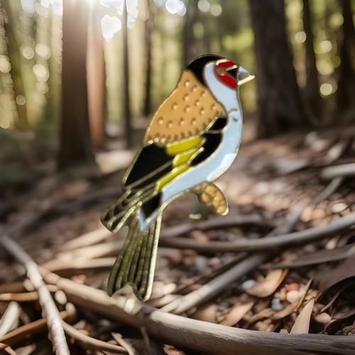 Rspb pin badge - badge,