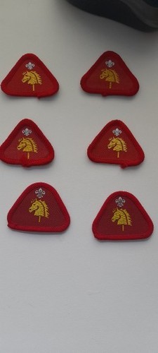 Vintage cub badge hobbies - vintage,