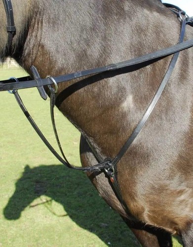 Windsor breastplate - windsor,