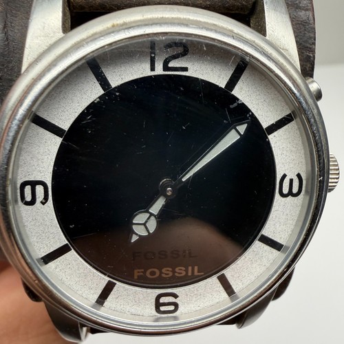 Rare fossil big - big, tic