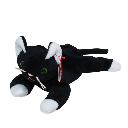 Zip black white kitten - /, cat