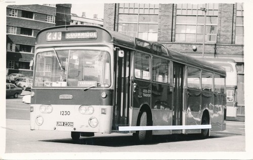 119 bus photo - bus,