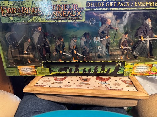 Lotr toybiz fellowship - fellowship, of