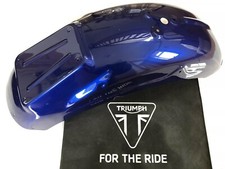 Triumph Legend/Thunderbird 900 Rear Mudguard T230641 Hinckley