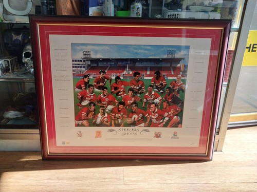 Rugby league illawarra - league,