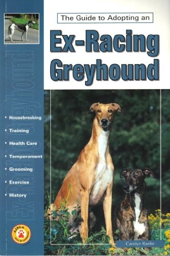 Guide owning ex racing - to, an