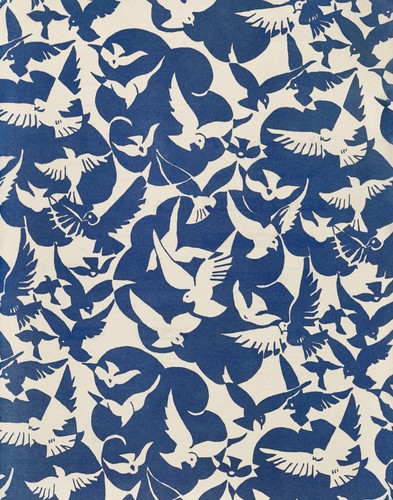 Pigeons white and - pigeons,