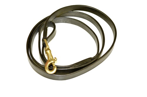 Plain leather lead rein - plain,