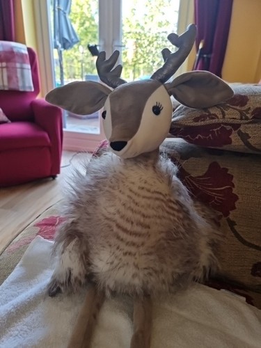 Jellycat robyn the reindeer - robyn,