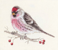 REDPOLL Bird - Full counted